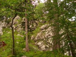 1913-07-05_Regina-F-Rau_Sonnenspitz_Kotalm-Jachenau (237).JPG